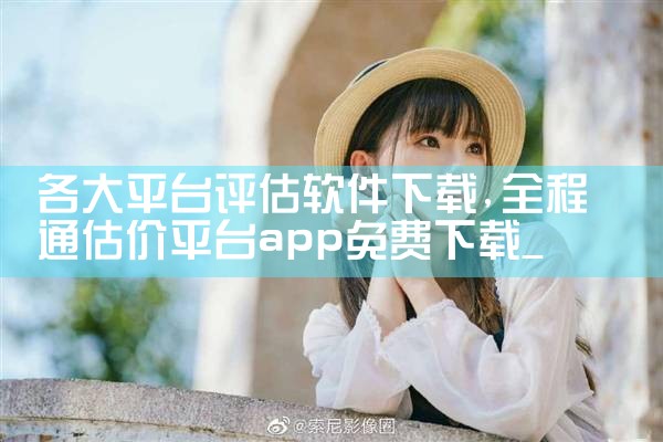 各大平台评估软件下载|P站专业版