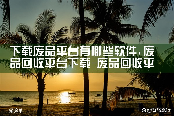 下载废品平台有哪些软件|P站专业版