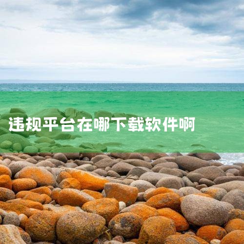 黄游都是在哪下载的,任务含有违规内容,无法下载,怎么办?,P站专业版