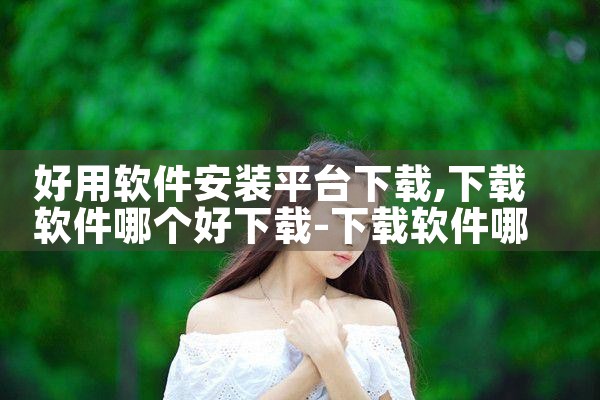 好用软件安装平台下载|P站专业版