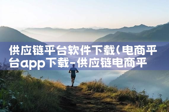 供应链平台软件下载|P站专业版