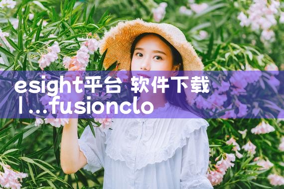 esight平台 软件下载|小蓝视频