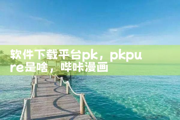 软件下载平台pk|哔咔漫画