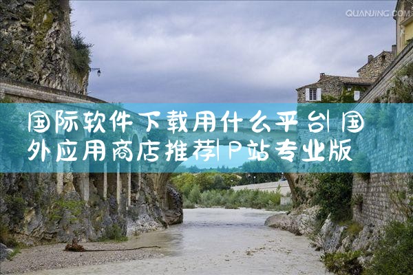 国际软件下载用什么平台|P站专业版