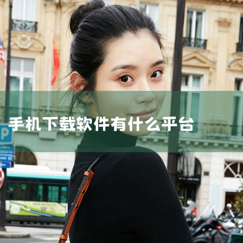 哪个APP可以下载软件,哪里下载手机软件安全,苹果手机软件排名苹果手机下载东西的软件有哪些可以用,P站专业版