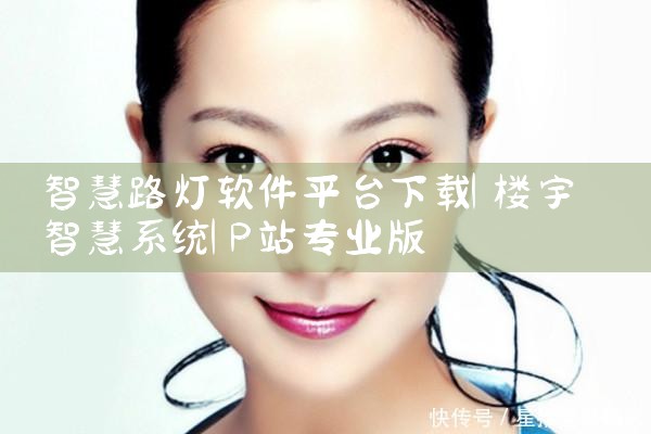 智慧路灯软件平台下载|P站专业版