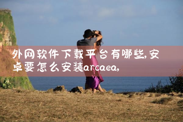 外网软件下载平台有哪些|P站专业版