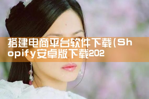 搭建电商平台软件下载|P站专业版