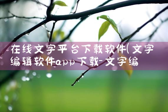 在线文字平台下载软件|P站专业版