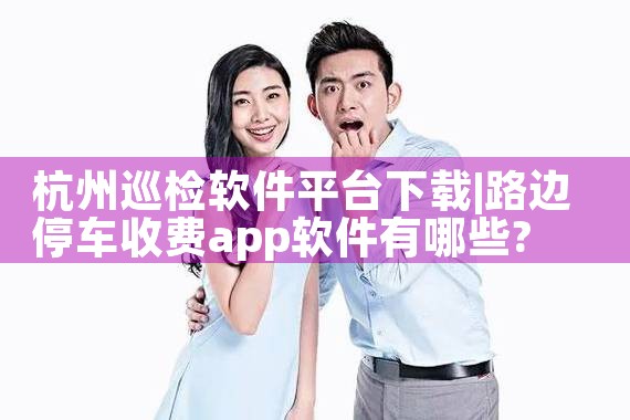 杭州巡检软件平台下载|P站专业版