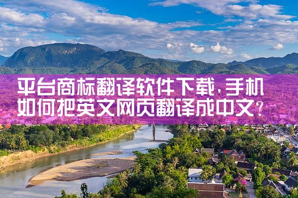 平台商标翻译软件下载|P站专业版
