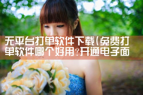 无平台打单软件下载|P站专业版
