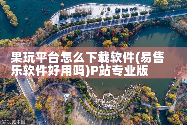 果玩平台怎么下载软件|P站专业版