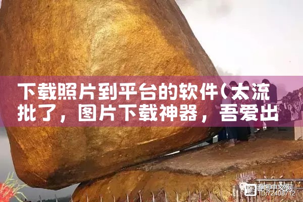 下载照片到平台的软件|P站专业版