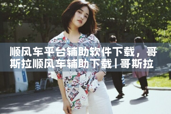 顺风车平台辅助软件下载|P站专业版