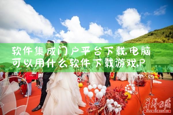 软件集成门户平台下载|P站专业版