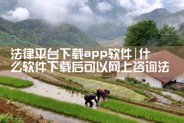法律平台下载app软件|P站专业版