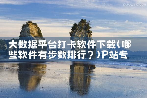 大数据平台打卡软件下载|P站专业版