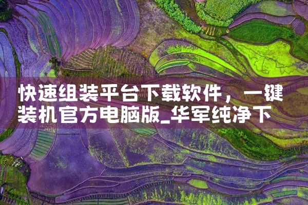 快速组装平台下载软件|P站专业版