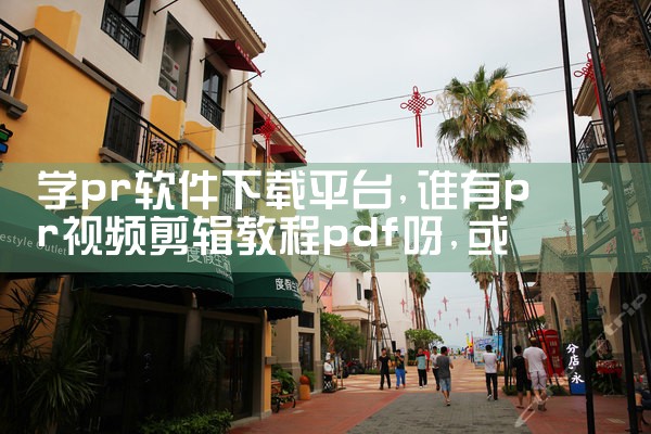 学pr软件下载平台|欲漫涩