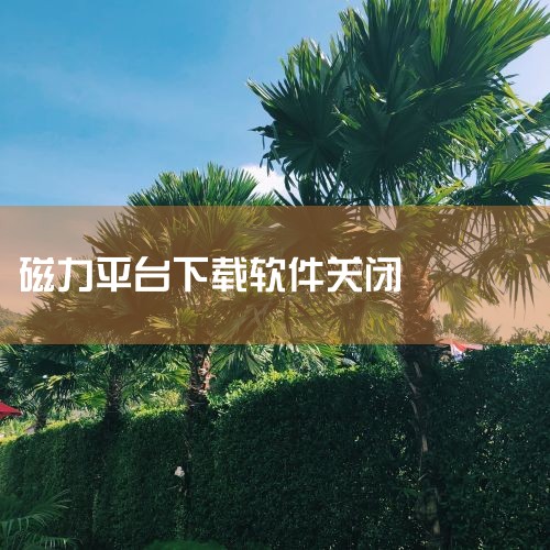 aippt软件下载,如何用bt下载,如何使用BT下载文件,哔咔漫画