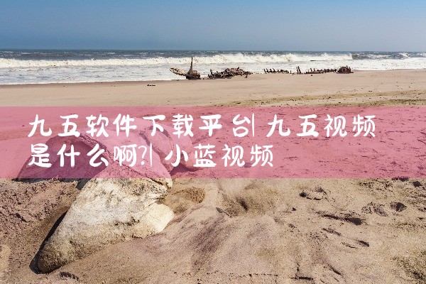 九五软件下载平台|小蓝视频