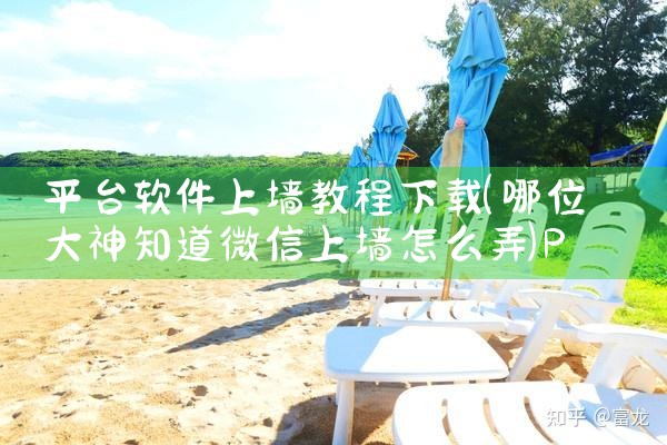 平台软件上墙教程下载|P站专业版